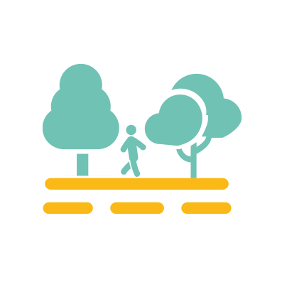 Plan árbol